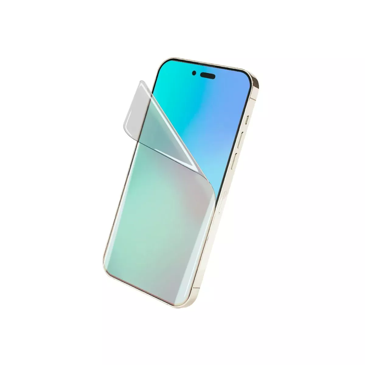Hidrogel Clear Todos Los Modelos